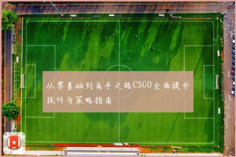 从零基础到高手之路CSGO全面提升技巧与策略指南